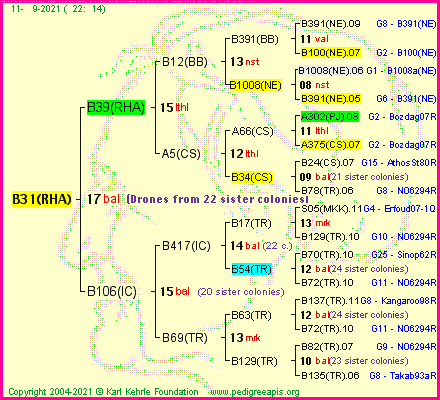 Pedigree of B31(RHA) :
four generations presented
it's temporarily unavailable, sorry!