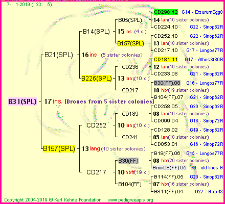 Pedigree of B31(SPL) :
four generations presented
it's temporarily unavailable, sorry!