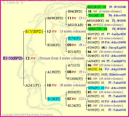 Pedigree of B310(BPD) :
four generations presented