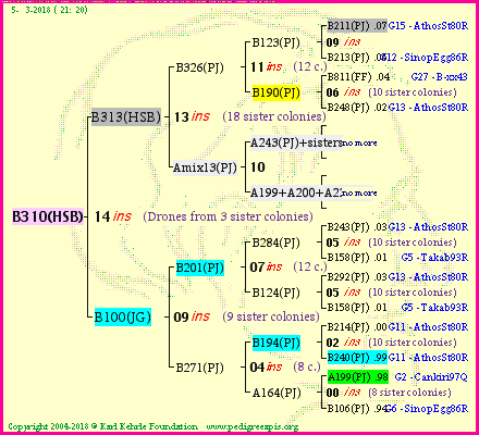 Pedigree of B310(HSB) :
four generations presented<br />it's temporarily unavailable, sorry!