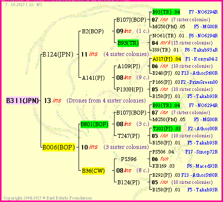 Pedigree of B311(JPN) :
four generations presented