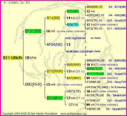 Pedigree of B311(RKR) :
four generations presented<br />it's temporarily unavailable, sorry!