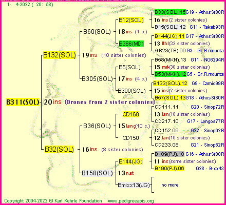 Pedigree of B311(SOL) :
four generations presented
it's temporarily unavailable, sorry!