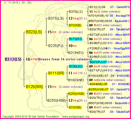 Pedigree of B312(LS) :
four generations presented<br />it's temporarily unavailable, sorry!