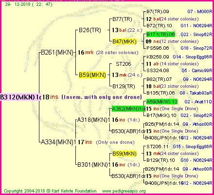 Pedigree of B312(MKN)1dr :
four generations presented<br />it's temporarily unavailable, sorry!