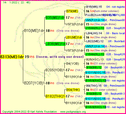 Pedigree of B313(ME)1dr :
four generations presented
it's temporarily unavailable, sorry!