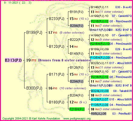 Pedigree of B313(PJ) :
four generations presented
it's temporarily unavailable, sorry!