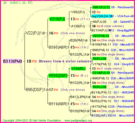 Pedigree of B313(PM) :
four generations presented
it's temporarily unavailable, sorry!