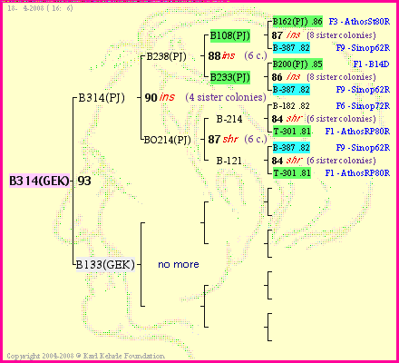 Pedigree of B314(GEK) :
four generations presented