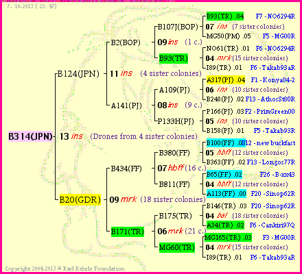 Pedigree of B314(JPN) :
four generations presented