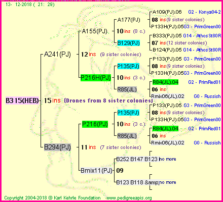 Pedigree of B315(HEB) :
four generations presented<br />it's temporarily unavailable, sorry!