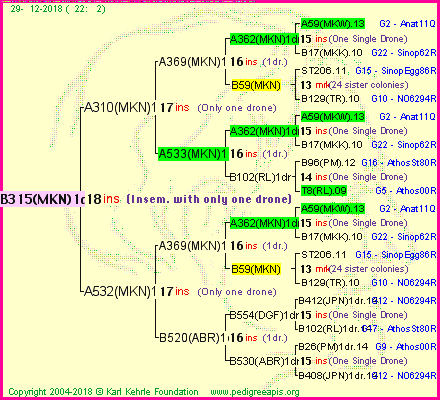 Pedigree of B315(MKN)1dr :
four generations presented<br />it's temporarily unavailable, sorry!