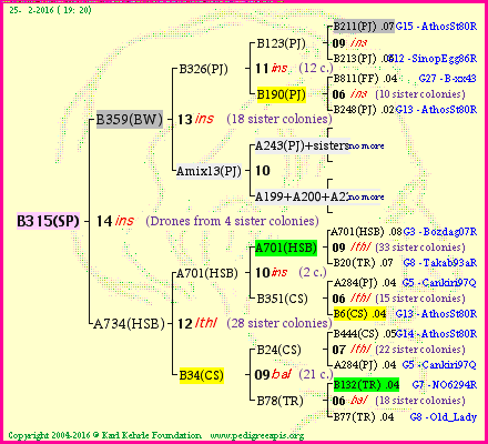 Pedigree of B315(SP) :
four generations presented