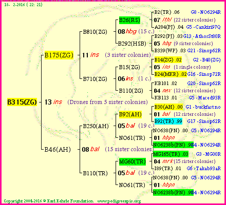 Pedigree of B315(ZG) :
four generations presented