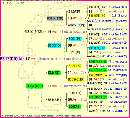 Pedigree of B317(DD)1dr :
four generations presented<br />it's temporarily unavailable, sorry!