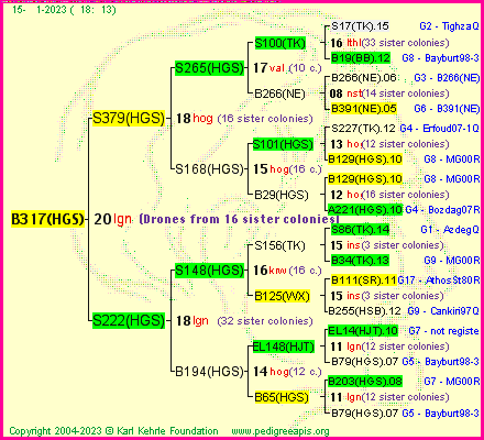 Pedigree of B317(HGS) :
four generations presented
it's temporarily unavailable, sorry!