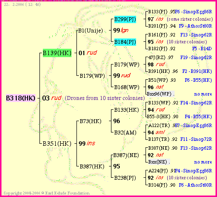 Pedigree of B318(HK) :
four generations presented