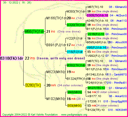 Pedigree of B318(TK)1dr :
four generations presented
it's temporarily unavailable, sorry!