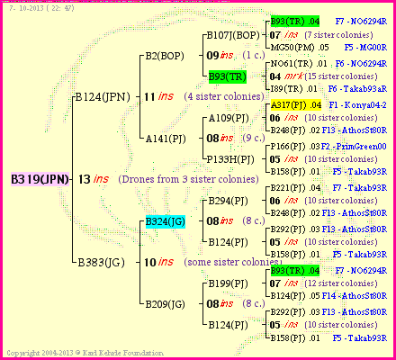 Pedigree of B319(JPN) :
four generations presented