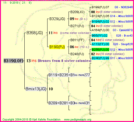 Pedigree of B319(LOF) :
four generations presented