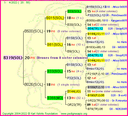 Pedigree of B319(SOL) :
four generations presented
it's temporarily unavailable, sorry!