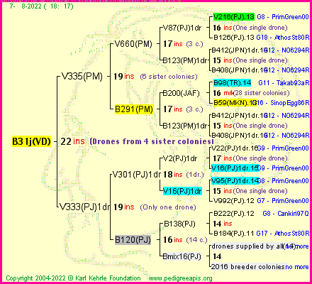 Pedigree of B31j(VD) :
four generations presented
it's temporarily unavailable, sorry!