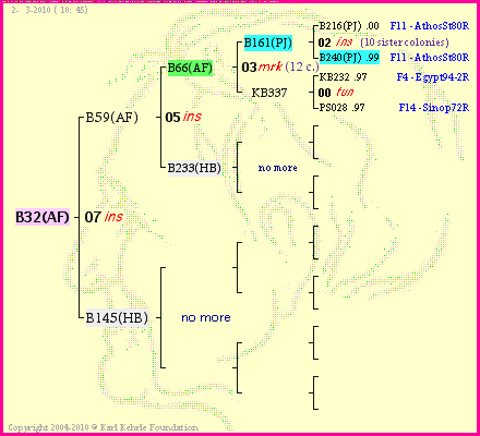 Pedigree of B32(AF) :
four generations presented