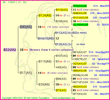 Pedigree of B32(AS) :
four generations presented
it's temporarily unavailable, sorry!