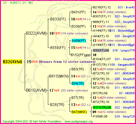 Pedigree of B32(AVM) :
four generations presented
it's temporarily unavailable, sorry!