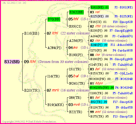 Pedigree of B32(BB) :
four generations presented