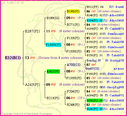 Pedigree of B32(BCI) :
four generations presented