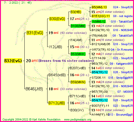 Pedigree of B32(EvG) :
four generations presented
it's temporarily unavailable, sorry!