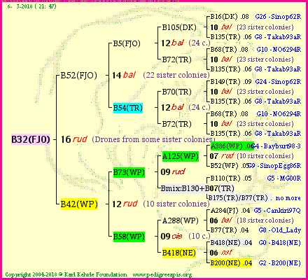 Pedigree of B32(FJO) :
four generations presented