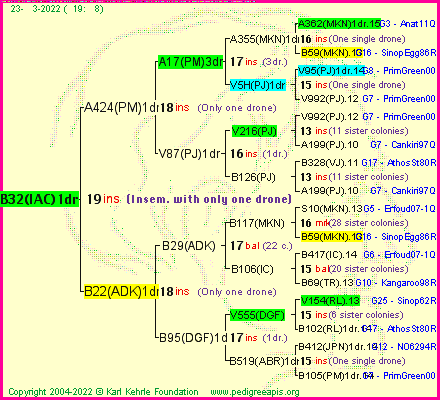 Pedigree of B32(IAC)1dr :
four generations presented
it's temporarily unavailable, sorry!