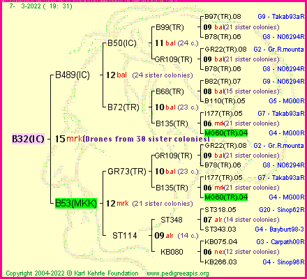 Pedigree of B32(IC) :
four generations presented
it's temporarily unavailable, sorry!