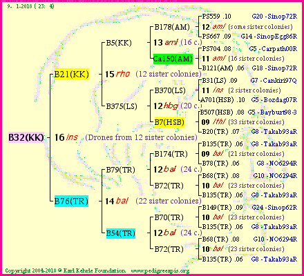 Pedigree of B32(KK) :
four generations presented<br />it's temporarily unavailable, sorry!