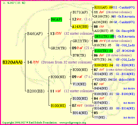 Pedigree of B32(MAA) :
four generations presented