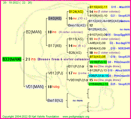 Pedigree of B32(MAN) :
four generations presented
it's temporarily unavailable, sorry!