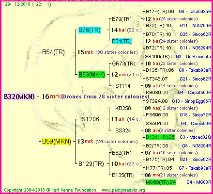 Pedigree of B32(MKN) :
four generations presented<br />it's temporarily unavailable, sorry!