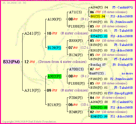 Pedigree of B32(PM) :
four generations presented