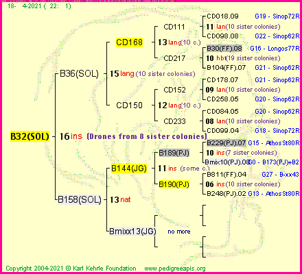 Pedigree of B32(SOL) :
four generations presented
it's temporarily unavailable, sorry!