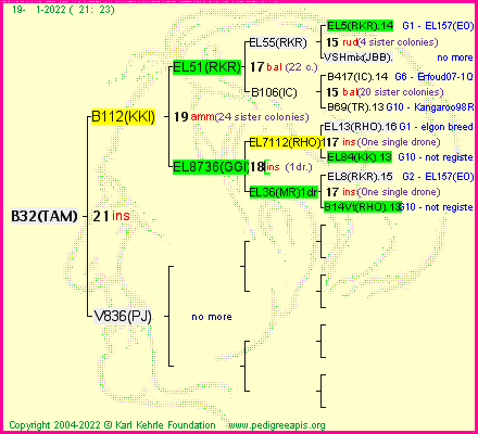 Pedigree of B32(TAM) :
four generations presented
it's temporarily unavailable, sorry!