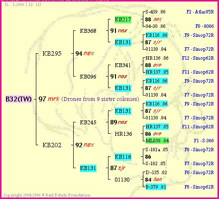 Pedigree of B32(TW) :
four generations presented
it's temporarily unavailable, sorry!