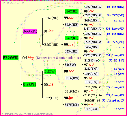 Pedigree of B32(WB) :
four generations presented