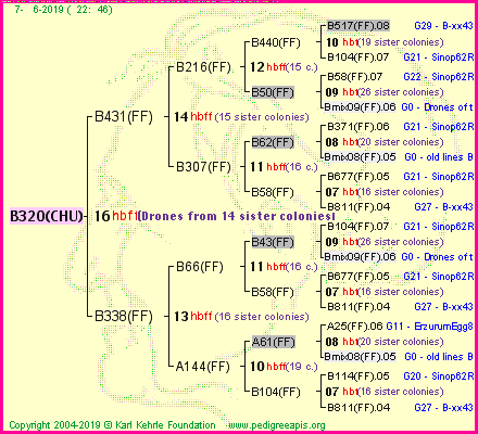 Pedigree of B320(CHU) :
four generations presented
it's temporarily unavailable, sorry!