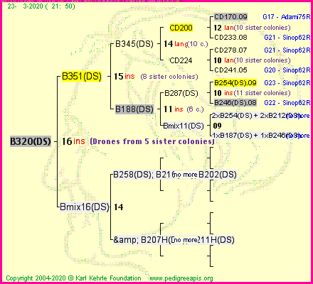 Pedigree of B320(DS) :
four generations presented
it's temporarily unavailable, sorry!