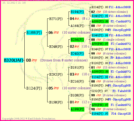 Pedigree of B320(JAF) :
four generations presented