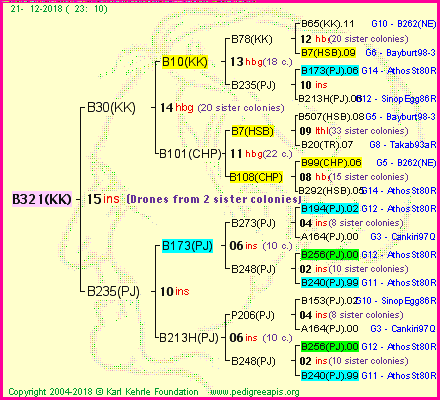 Pedigree of B321(KK) :
four generations presented<br />it's temporarily unavailable, sorry!