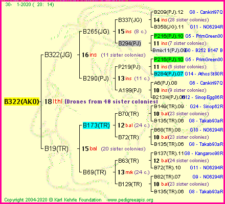 Pedigree of B322(AKO) :
four generations presented<br />it's temporarily unavailable, sorry!