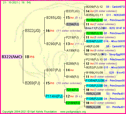 Pedigree of B322(AMC) :
four generations presented
it's temporarily unavailable, sorry!